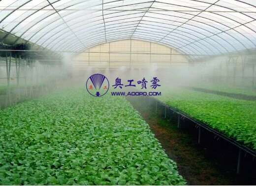  大棚喷灌系统 