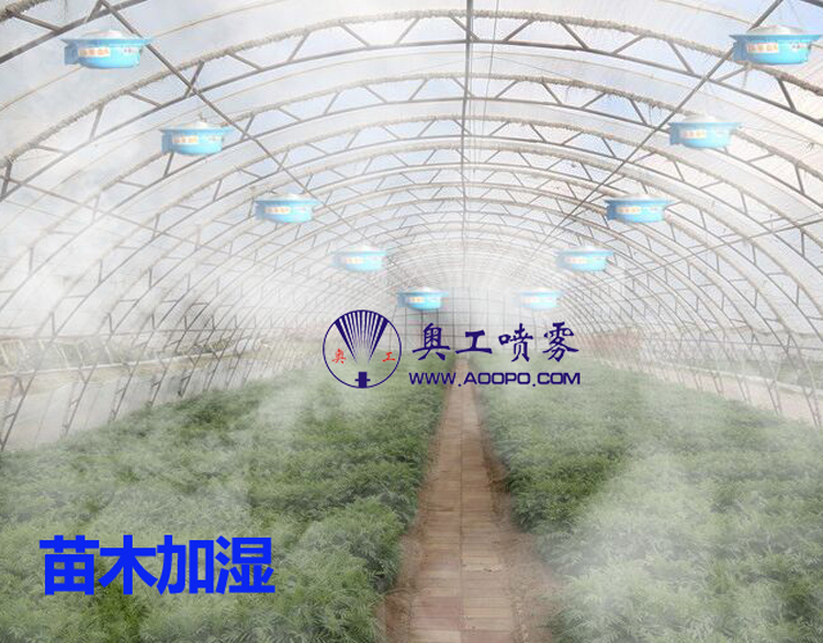金年会