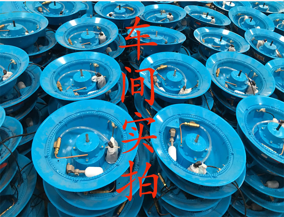 金年会